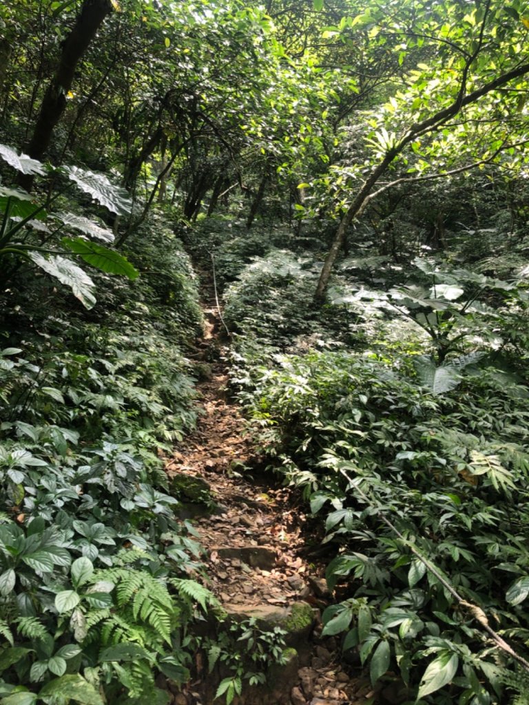 猴山岳-二格山-南邦寮山封面圖