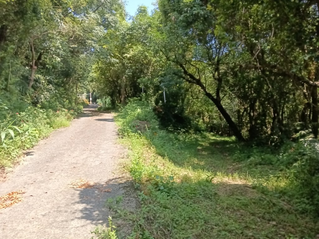 內湖區大丘田保甲路+開眼山+白石湖山+白石湖山東峰+大邱田山+消防山O型_2858892