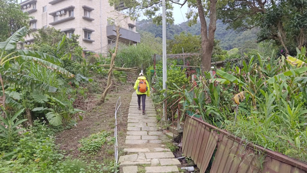 (姨婆趴趴走)第四十七集:新北土城大暖坑山等諸峰攀登連走_2738735