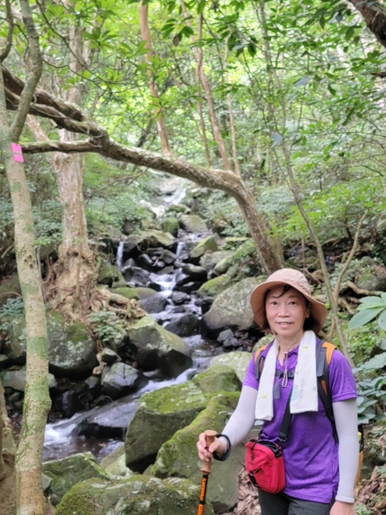 大屯溪古道清涼行-20240714_2600996