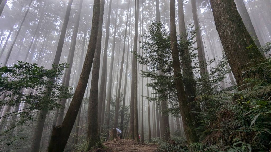 橫沙笛縱走 (木馬古道、橫嶺山、沙蓮山、笛吹山)封面圖