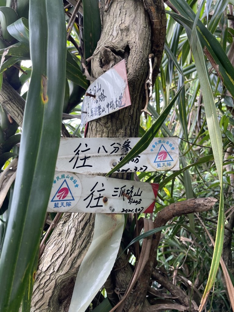 蛇子形古道_2511194