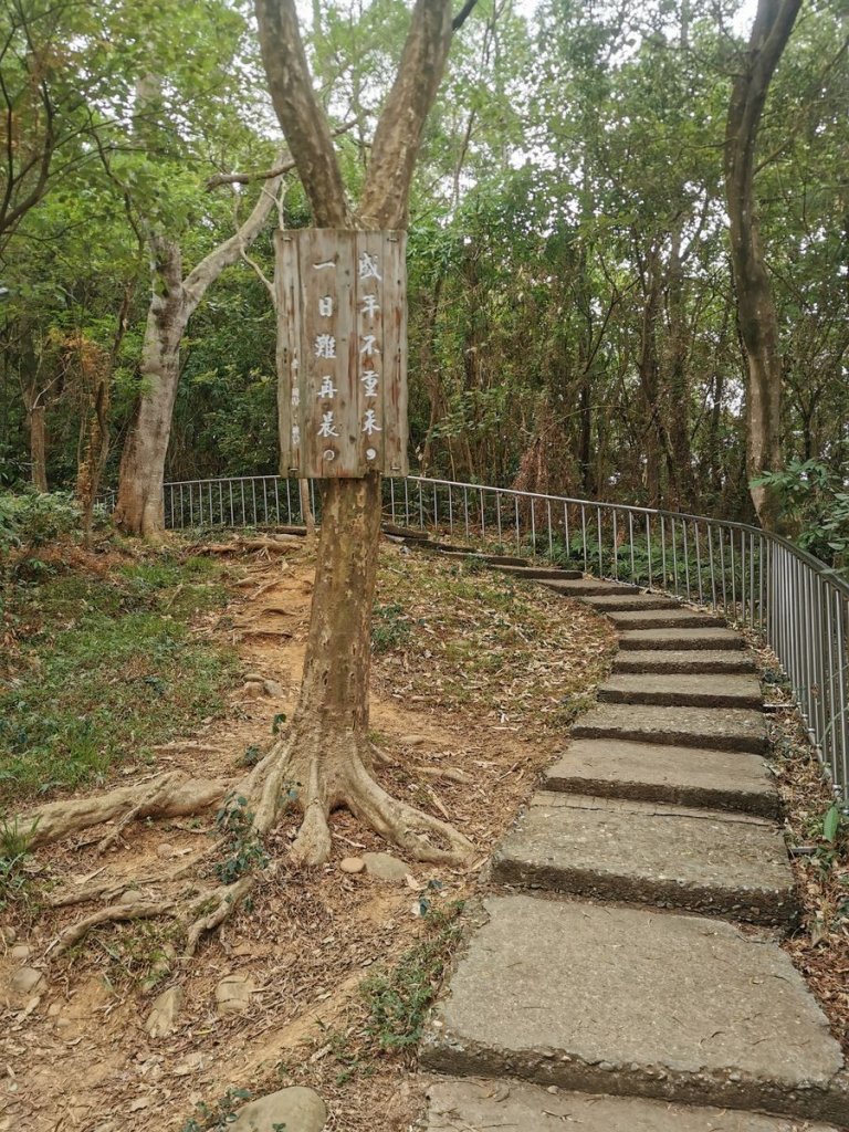 田中森林登山步道-依山稜線而建且景觀良好_1048126