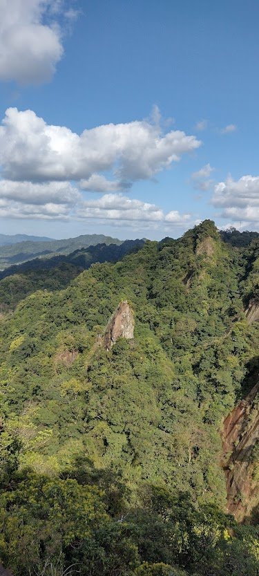 2022 3/9 孝子山登山步道_1636966