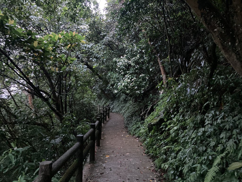 南勢角山_2468504