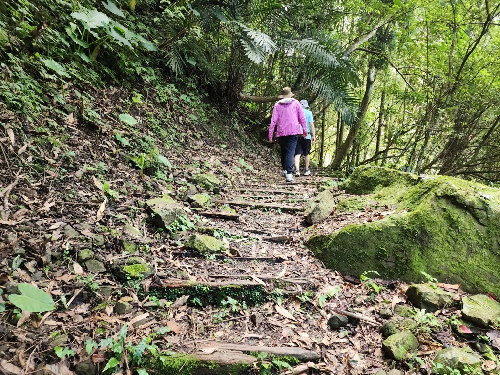 20240804鬼澤山、梅山、梅后蔓瀑布_2613421