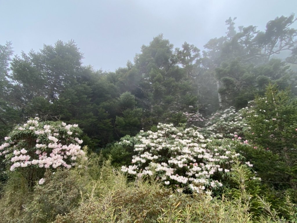 一日志雪_1406508