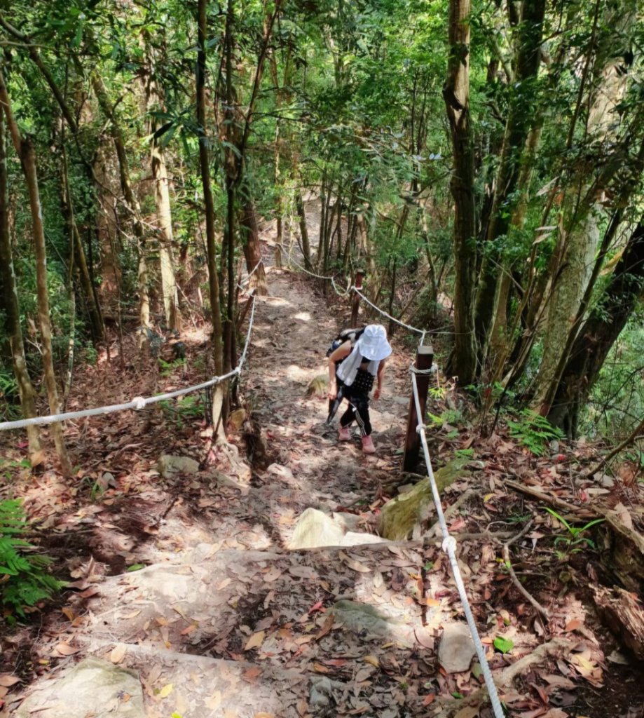 【中級山】谷關七雄唐麻丹山，連走蝴蝶谷瀑布_2741024