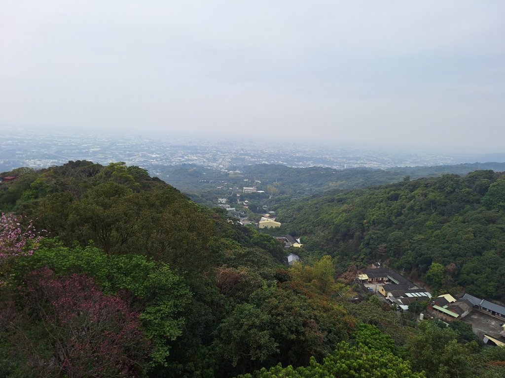 員林隴頂步道+萬里長城步道+藤山步道+臥龍坡步道20240310_2449613