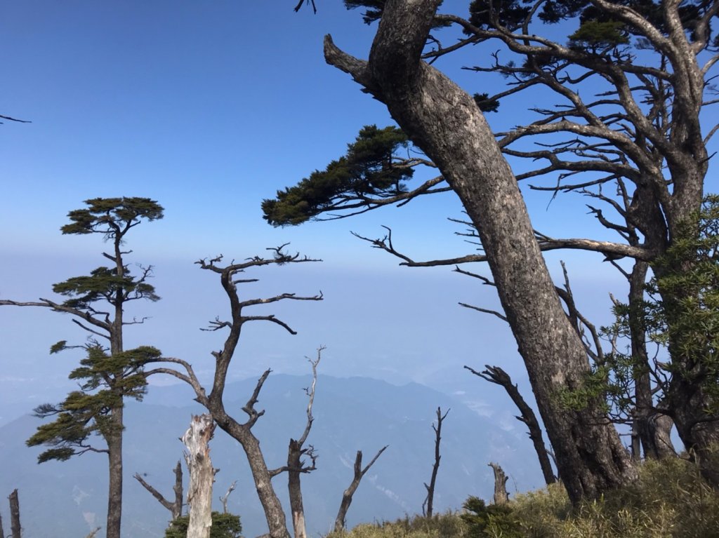 面見北大武聖山_967892