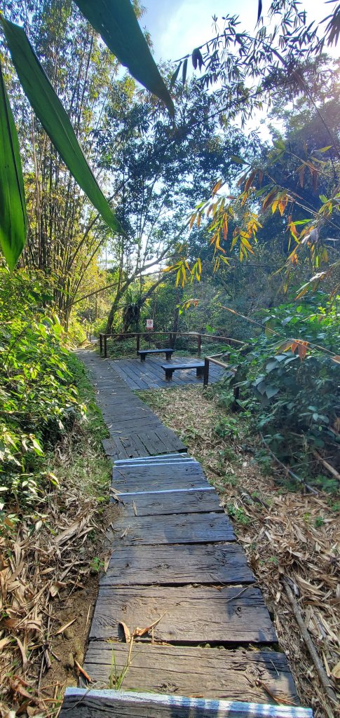 2025-01-30迷糊步道_2704453