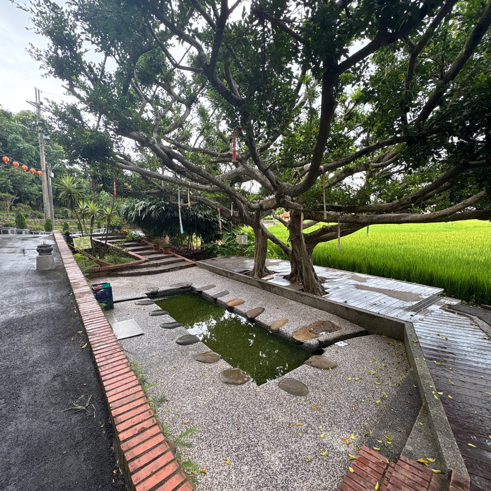 6/18、6/23桃園114年「霄裡好風光 運動樂悠遊」健行活動_2831404