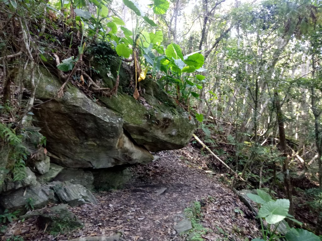 瓦拉米步道封面圖