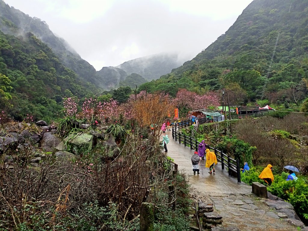 雨中漫步淡水跤頭趺崙步道、楓樹湖步道、天元宮封面圖