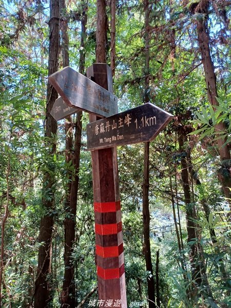 【台中和平】2022「谷關七雄，慢旅台中」登山活動認證。七雄中唯一有瀑布景觀~ 唐麻丹山x蝴蝶谷瀑布_1775970