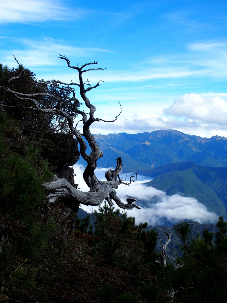 雪山東峰_90549