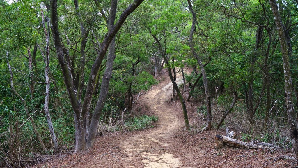20211123鄭漢紀念步道_1529048