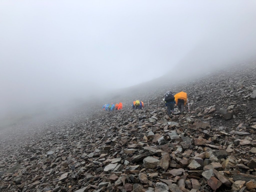 雪山西稜+大安溪神木_636543