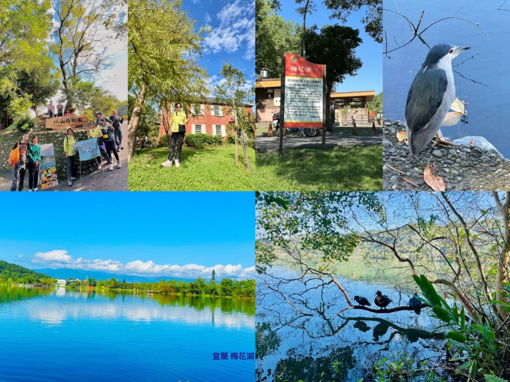 生態環境豐富的仁山植物園 感受鑑湖秋月-梅花湖的魅力封面圖