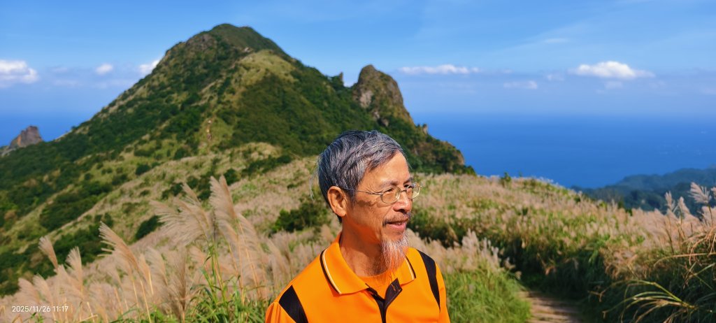 #半屏山 #芒花 11/26_2946061