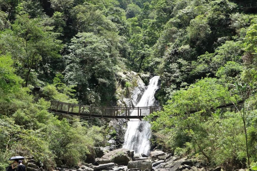 宜蘭冬山  新寮瀑布步道，冬山古橋。冬山河的水流源頭  唯美森林系瀑布封面圖