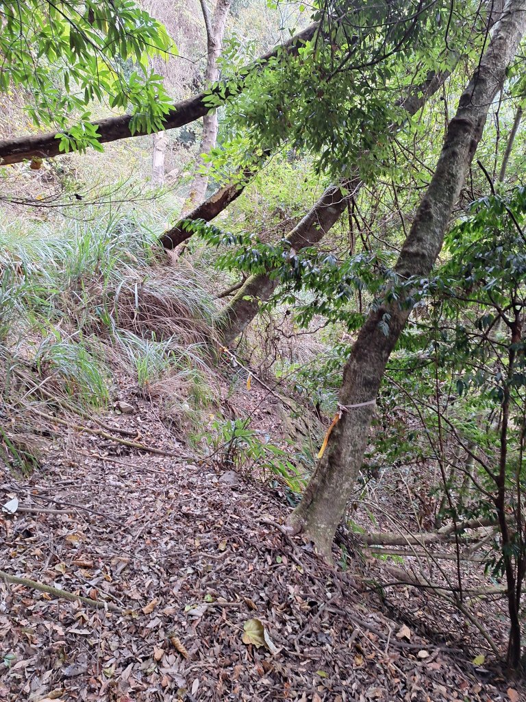 雪見駐在所+雪見山20251225_2971631