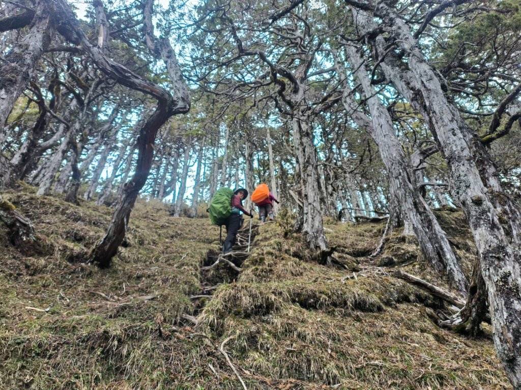 20240318 馬博8天縱走~第三天，秀姑巒山_2469875