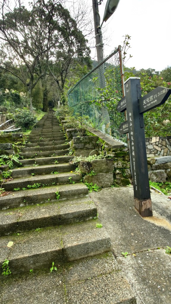 20260125 陽明山前後山健行(無極天元宮~山仔頂步道.向天池.向天山.面天山.二子坪)_2997938