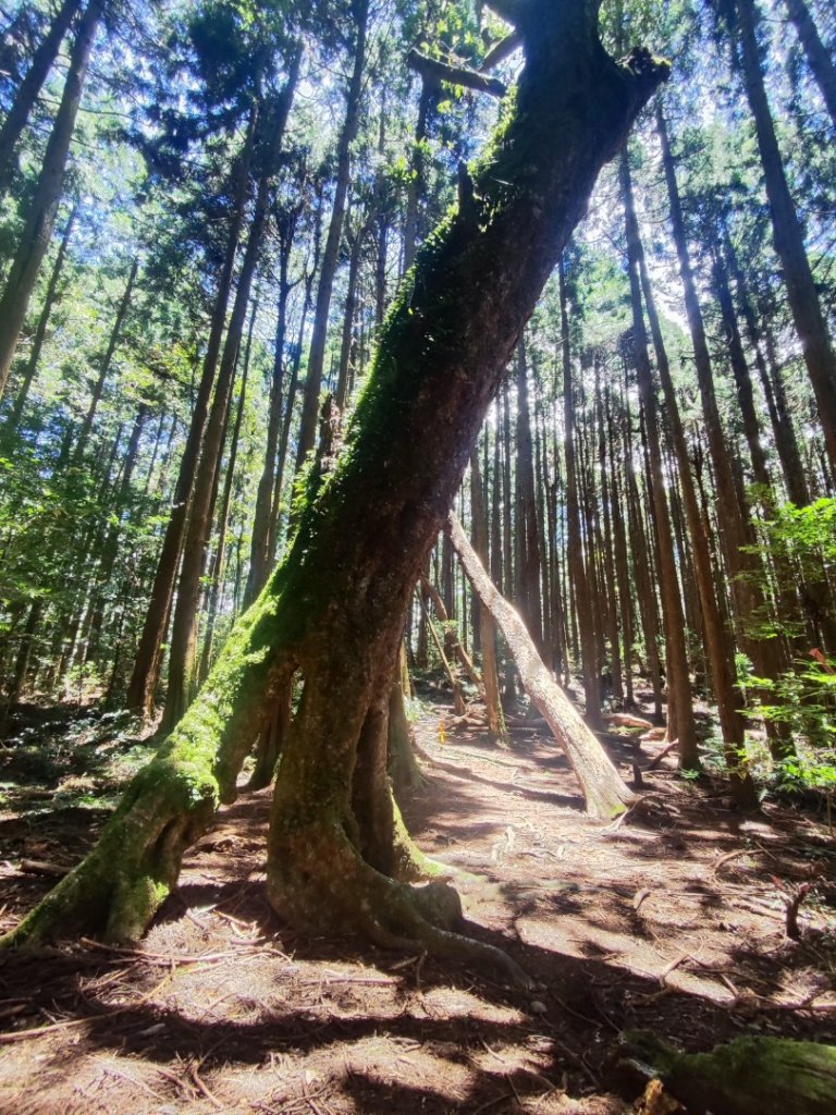 民都有山_2844993