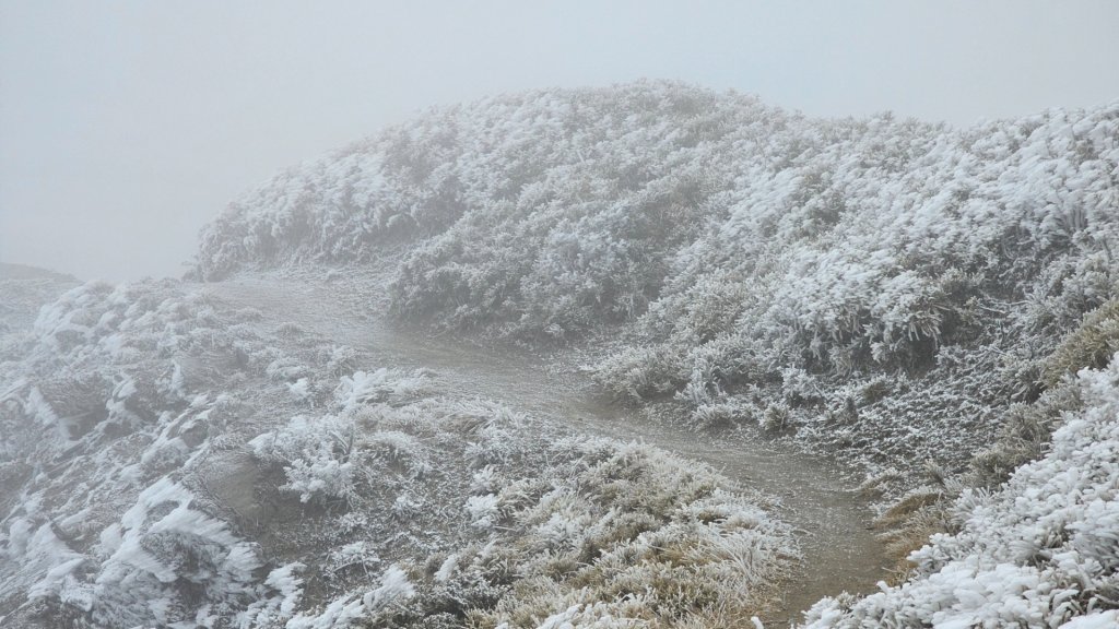 112.3.13～3.14 冰封奇萊主北_2073974