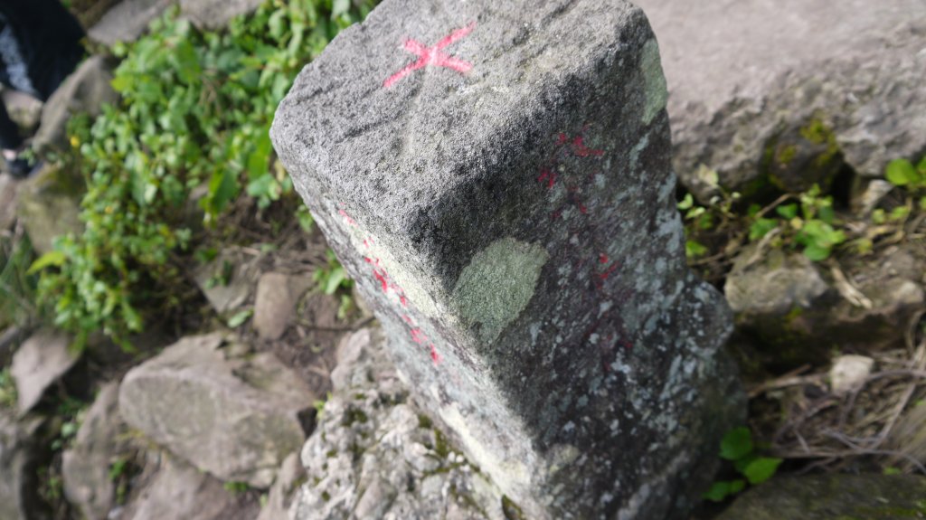 觀音山登山健行趣(小百岳05號)_1632378