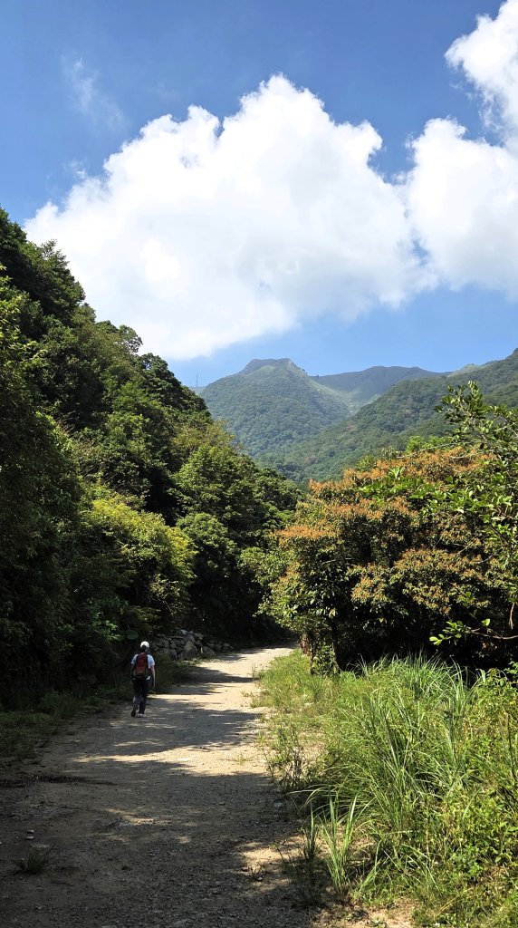 享受台北近郊陽明山小秘境楓林瀑布的清新芬多精_2996550
