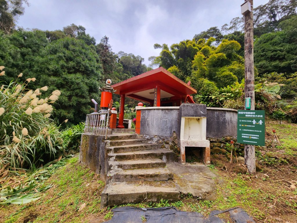 小百岳集起來-溪洲山（石門苗圃）封面圖