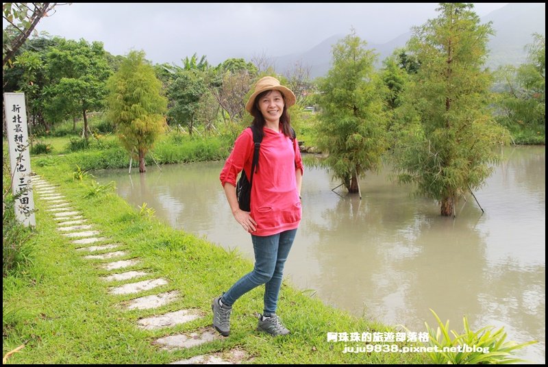 新北。三芝田心子水中央｜金針花+水中落羽_1146422