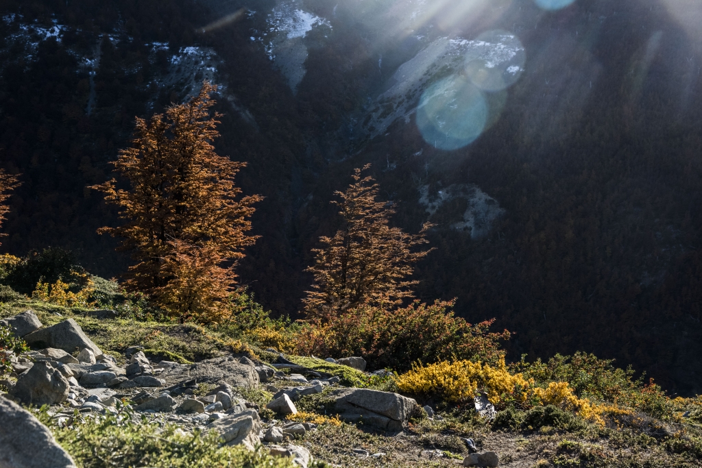 智利百內國家公園健行_53935