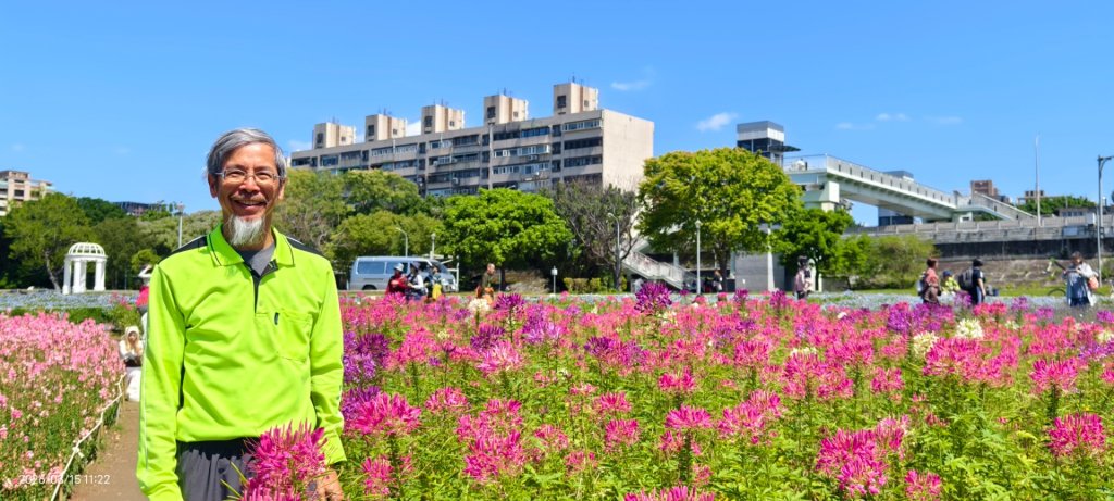 首訪 #古亭河濱公園 #花海 3/15封面圖