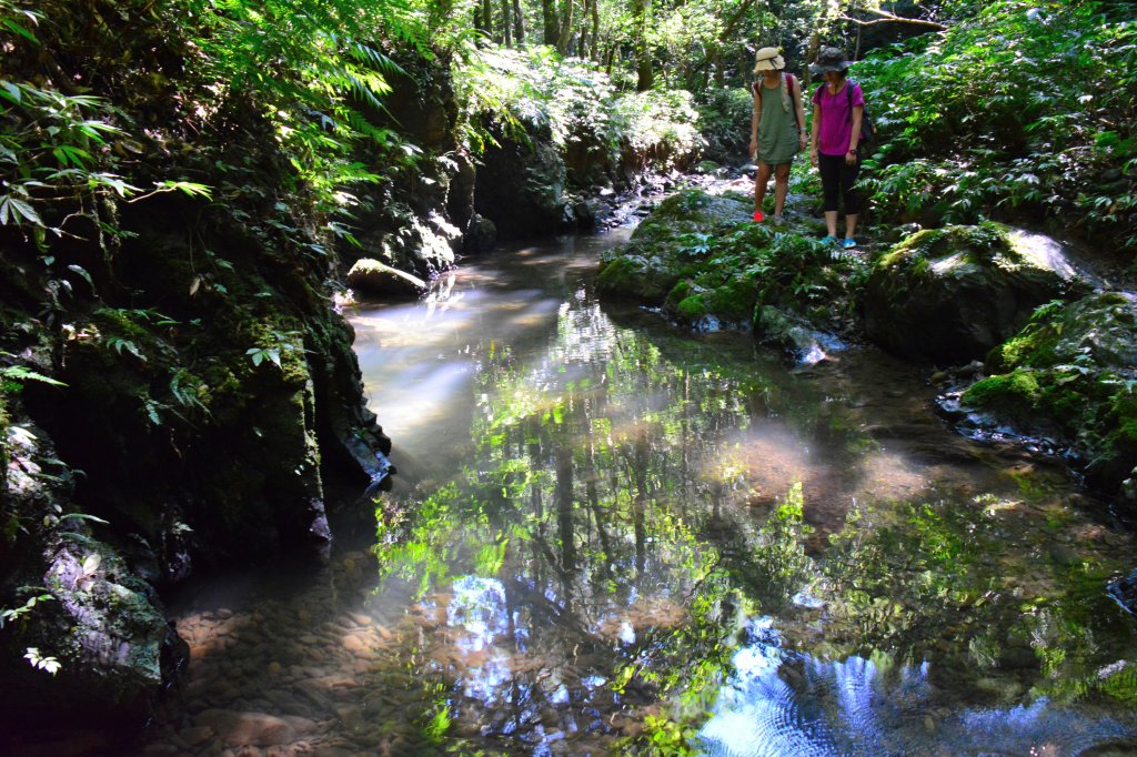充滿禪意的坪溪古道_1455156
