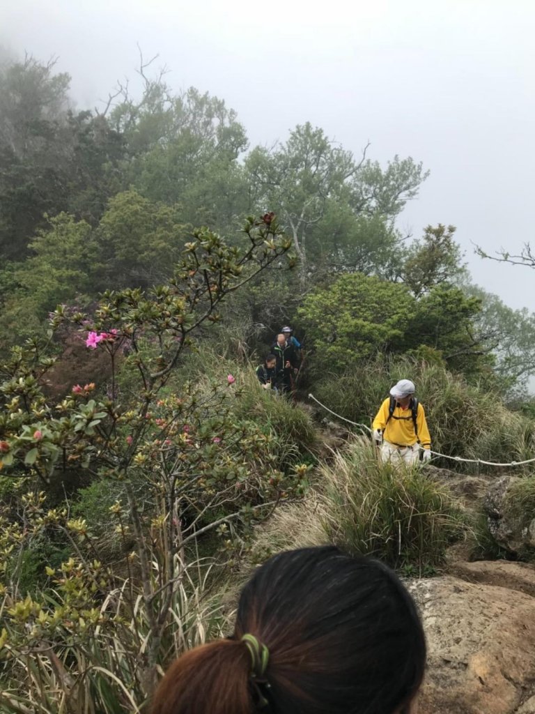 苗栗加里山登山步道_428724