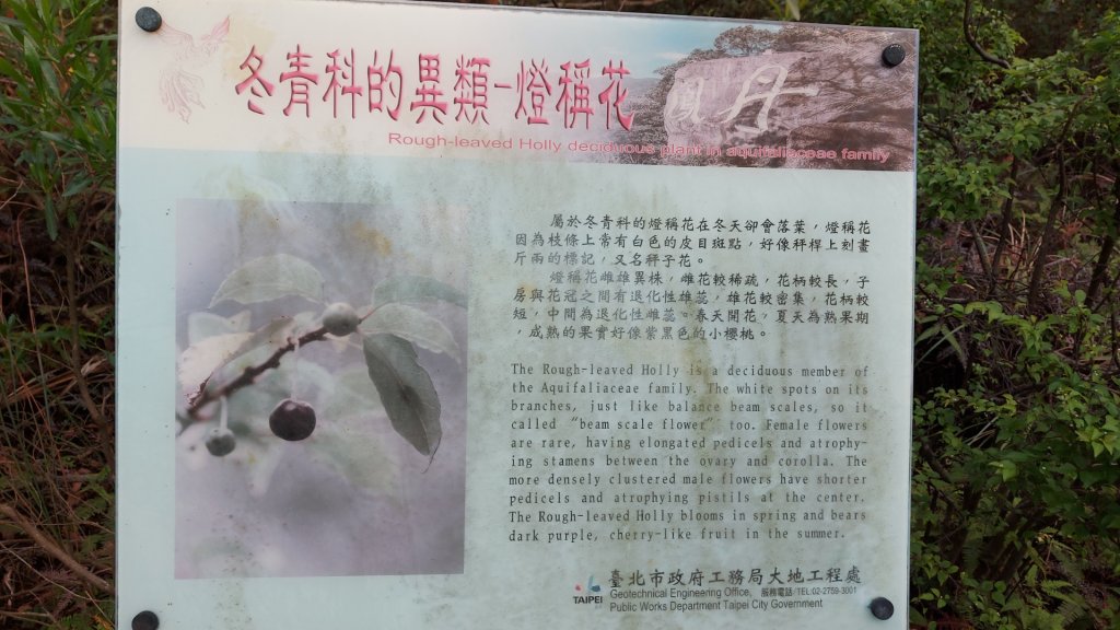 丹鳳山  ，北投真言宗石窟建築群（弘法大師岩），特殊地質景觀-隆升巖床虎穴，中和禪寺_2114270