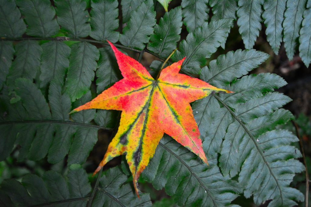 闊瀨古道_1029703