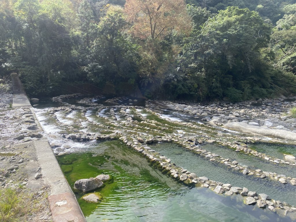 《雪山坑登山步道｜巨人之手森林秘境 Xueshankeng Hiking Trail & Giant_2971046