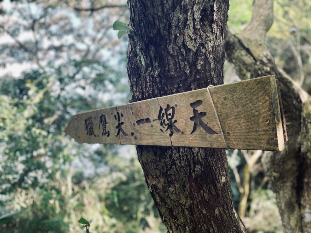 獵鷹尖一線天封面圖