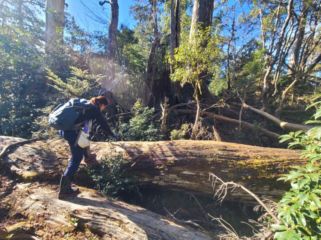 20230219 塔魔巴_2037364