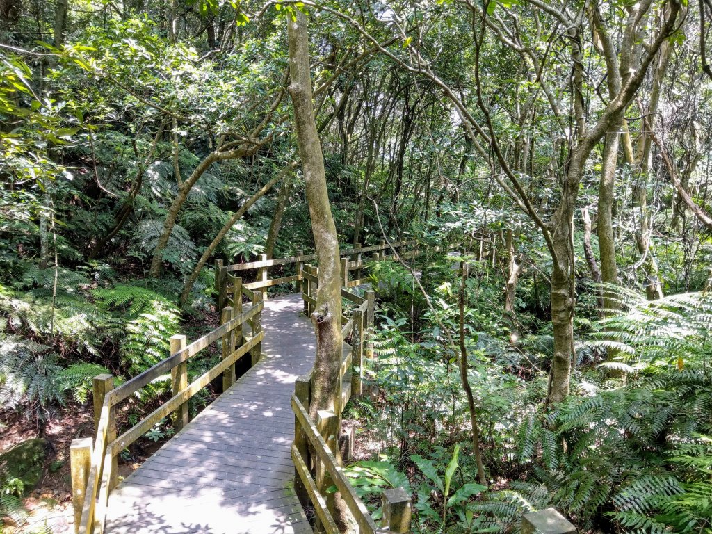 大崙頭尾親山步道走往大溝溪親水公園_1430965