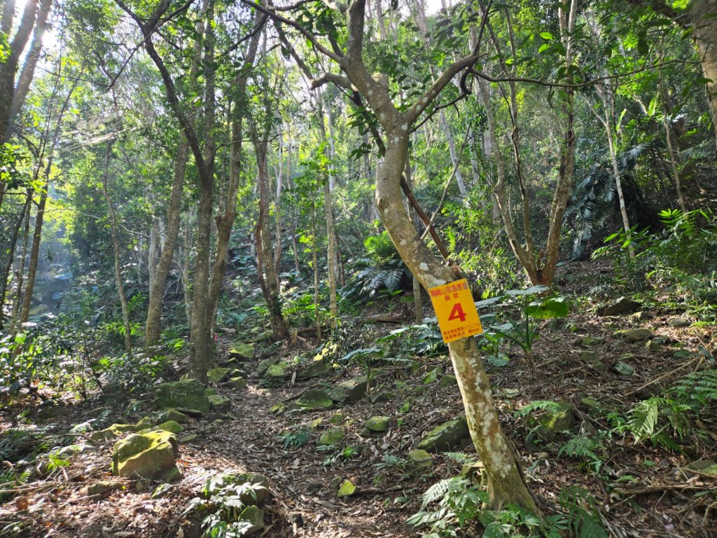 水雲三星～上島山（鳥嘴山）_2931236