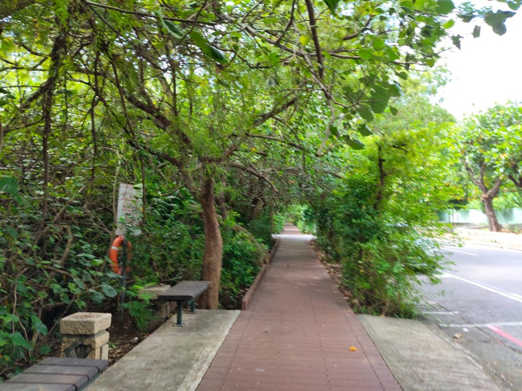 高雄澄清湖+台版富國島_2855022