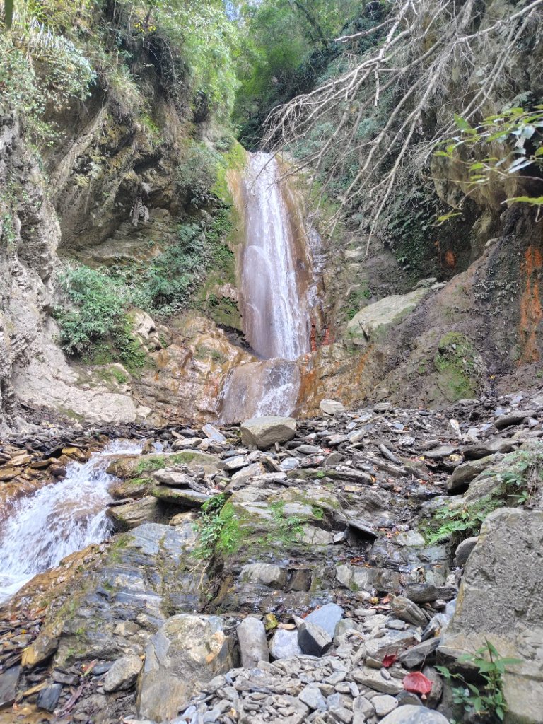 東埔走八通關古道訪龍貓公車繞對關山O型_2962915