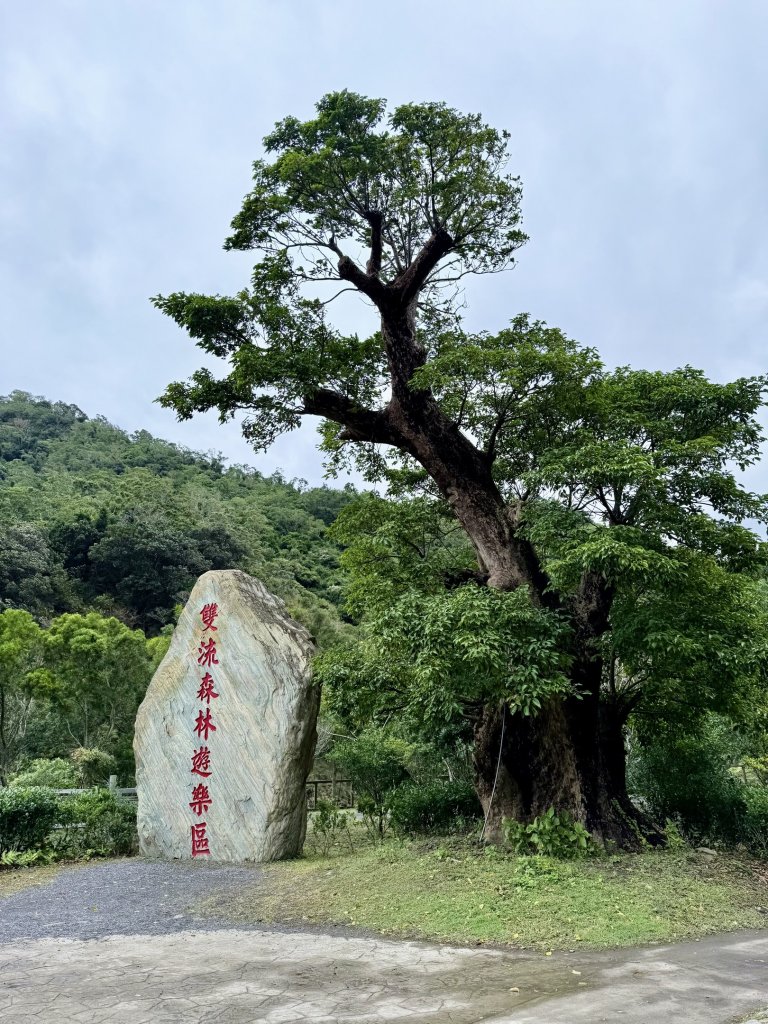 雙流帽子山悠遊  2025.01.03_2688583