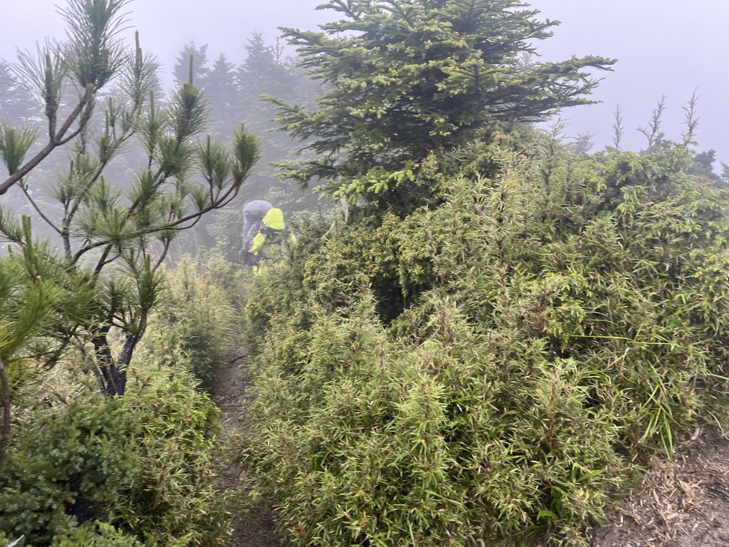 北二段(4/7)鬼門關峰 2024_0613_2528763