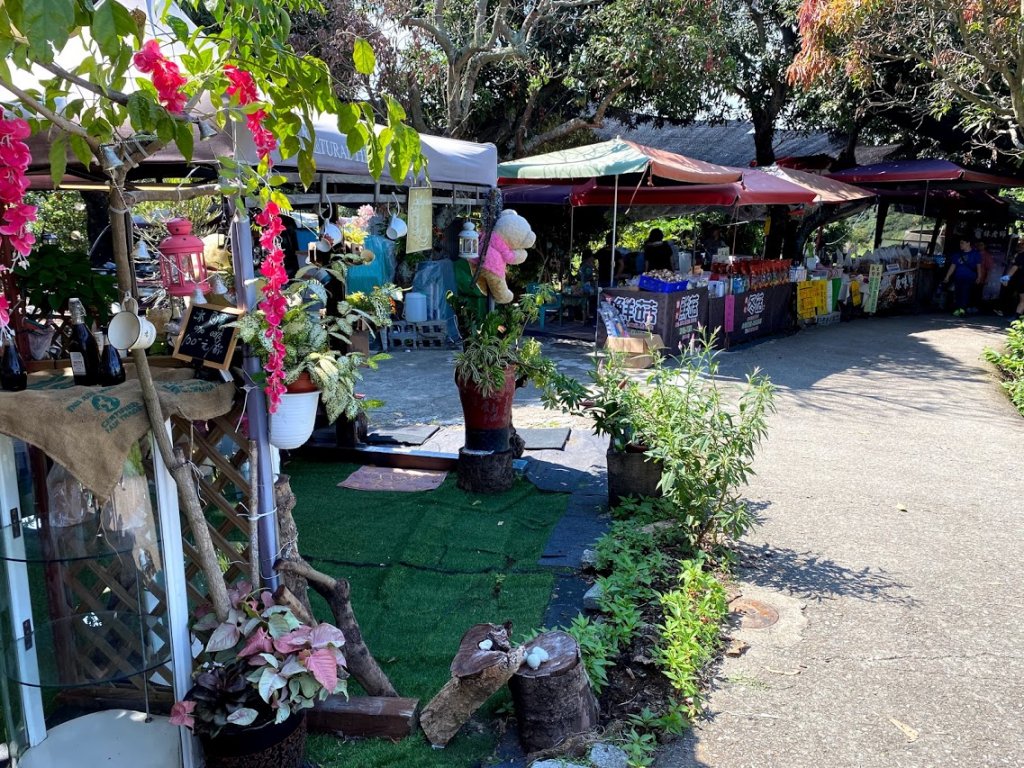 1090613_宸宸_大坑10上9下_1102883